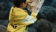 Bé trai 6 tuổi mê cá viết thư hỏi công viên đại dương về sinh vật “mất tích”, nhận hồi đáp 'đặc biệt'