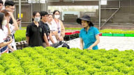 TP.HCM chuyển đổi xanh bền vững từ đô thị ra vùng ven