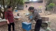 Con vật bé tí ti này, nuôi ở một khu rừng ở Hải Phòng, ngờ đâu nó 'rinh' sao OCOP về cho nông dân
