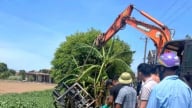 Lật xe nâng, một người đàn ông ở Ninh Bình tử vong