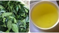 Uống nước chè xanh vào buổi sáng có tác dụng gì?