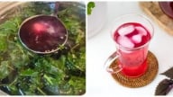 Bài thuốc từ lá tía tô: Giải cảm, trị ho, dưỡng da hiệu quả