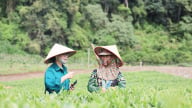 Nông thôn Tây Bắc: Bền bỉ đưa chính sách, pháp luật về với  vùng cao Phiêng Cằm
