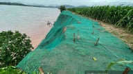 Yêu cầu kiểm tra hiện trạng sạt lở bờ sông Đà đoạn qua xã Tu Vũ (tỉnh Phú Thọ)