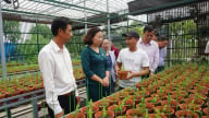 Giảm nghèo thông tin, que diêm trong bóng tối