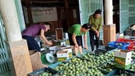 Có vốn trong tay, nông dân Sơn La vươn lên làm giàu từ mảnh đất quê hương