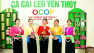 Chuyển đổi số thành công, các HTX này ở tỉnh Phú Thọ (địa phận Hòa Bình trước đây) làm ăn có bứt phá, khá giả lên