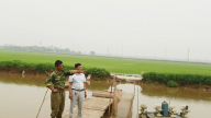 Đâu phải 'cá tiến vua', thứ cá này xưa ở đất Phú Thọ làm cho nhà nghèo, nay nhà giàu bỏ tiền tốt ra mua về nếm cho ngon?