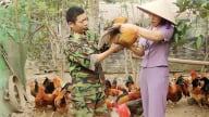 Thái Nguyên: Một cách chăn nuôi độc đáo đang giúp nhiều hộ ở xã Hợp Thành nâng thu nhập rõ rệt