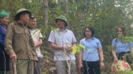 Nông thôn Tây Bắc: Gỡ “nút thắt” chi trả dịch vụ môi trường rừng tại Điện Biên