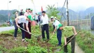 Sơn La: Hưởng ứng Tết trồng cây “Đời đời nhớ ơn Bác Hồ” 