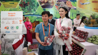 Nông thôn Tây Bắc: Điện Biên thu hút “đại bàng” đầu tư nông nghiệp, mở hướng tăng thu nhập cho nông dân