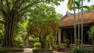 Cây phong thủy mỗi ngày: 3 loại cây trong nhà đừng tự ý chặt, dễ “đứt” tài lộc