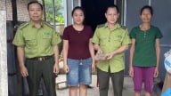 Nông thôn Tây Bắc: Người dân Sơn La tự nguyện giao nộp rùa quý hiếm cho kiểm lâm