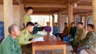 Điện Biên: Chuẩn bị trồng rừng mới, hướng tới “kho vốn xanh” cho phát triển bền vững