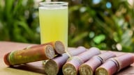 Loại cây làm đẹp da, giải độc, mùa nào cũng có, một cây cả nhà ăn