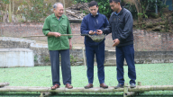 Nông dân Bảo Hà giúp nhau phát triển kinh tế, xây dựng cuộc sống ấm no
