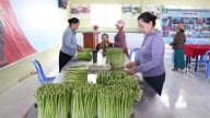 Sáp nhập tỉnh Khánh Hòa, Ninh Thuận, loại 'rau vua, rau nhà giàu' vùng hạn rộng cửa tiêu thụ