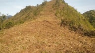 Lào Cai: Mở gần 50km đường băng trắng cản lửa trong mùa khô hanh
