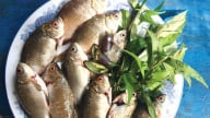 Đặc sản Quảng Ngãi, thứ cá xưa rẻ rề, bắt vô số, nay nấu canh rau răm, mở nắp nồi thơm ra tận ngõ