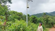 Nơi này ở Gia Lai có một khu rừng cây sách Đỏ cho gỗ quý đắt hơn vàng, cả làng ngày đêm 'soi camera'