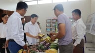Chiến lược tiêu thụ nông sản hiệu quả tại Mường La