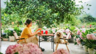 An Lành Farm - Điểm du lịch trải nghiệm 'hút' khách ở Yên Bái 