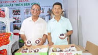 Xuất khẩu thứ quả đặc sản sang Mỹ, một HTX ở Sóc Trăng thu lợi nhuận cao, xã viên thoát nghèo nhanh