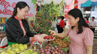 'Lộc' trên đất dốc Sơn La