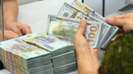 Giá USD hôm nay 8/6: Tỷ giá trung tâm áp sát 25.000 đồng, thị trường thận trọng