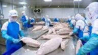 Cá ngừ của Việt Nam bán sang các thị trường Halal Trung Đông, Malaysia, Brunei… đang có xu hướng tăng