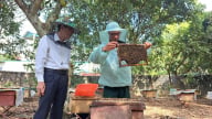 Quỹ Hỗ trợ Nông dân: 'Đòn bẩy' giúp nông dân Hòa Bình làm giàu