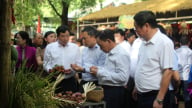 Một huyện của tỉnh Sơn La mở lễ hội cho loại trái cây đặc sản