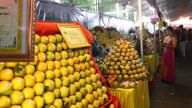 Vừa bán hết loại trái cây đặc sản, một huyện của tỉnh Hòa Bình ra ngay văn bản thông báo hết vụ để tránh việc này