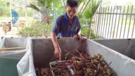 Nuôi thành công 2 con động vật, con này kêu to giật mình, con kia kêu ri ri, một người Đắk Lắk có thu nhập tốt