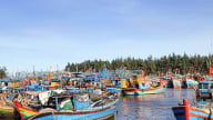Trước giờ về với TP HCM, Bình Dương, ở Bà Rịa-Vũng Tàu có hàng trăm tàu cá phải nằm bờ vì 2 nguyên nhân nào?