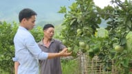 Khơi dậy tiềm năng, thúc đẩy kinh tế vùng dân tộc thiểu số