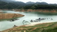 Ngày nào dân lòng hồ thủy điện Hòa Bình cũng phải đưa lồng cá di chuyển mà vẫn nớp nớp lo điều gì?