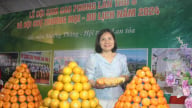 Đề án 01 của Tỉnh ủy Hòa Bình: Từ 'cú hích' chính sách đến khát vọng làm giàu của người nông dân