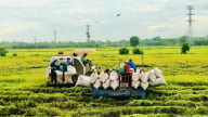 Kiên Giang: Quỹ Hỗ trợ nông dân giúp hội viên huyện Kiên Lương nâng cao thu nhập