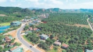 Tên gọi 75 xã, phường sau sắp xếp của tỉnh Sơn La
