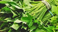 Loại rau Việt giá 'rẻ như cho', ăn vào 'bổ đủ đường' nhưng toàn bị ngó lơ