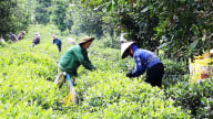 Nâng cao giá trị sản phẩm nông nghiệp - giải pháp thực hiện có hiệu quả chương trình xóa đói giảm nghèo ở huyện vùng cao
