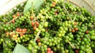Kỳ vọng tích cực cho thị trường hồ tiêu trong quý III