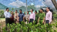 Quyền giám đốc Ngân hàng CSXH Cần Thơ: Tín dụng ưu đãi giúp 22.456 hộ vượt qua ngưỡng nghèo, tạo nhiều việc làm