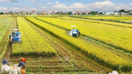 Miễn thuế sử dụng đất nông nghiệp đến hết ngày 31/12/2030