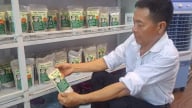 Người đổi phận cho cây chuối tiêu xanh