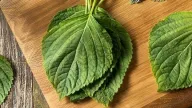 Loại rau thơm được ví như 'thuốc quý' siêu bổ dưỡng