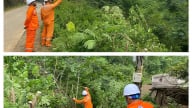 Thợ điện Đà Bắc 'đội mưa, thắng bão' giữ vững dòng điện cho dân