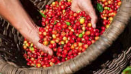 Giá cà phê đồng loạt giảm, tồn kho tăng và đầu cơ trên sàn đẩy mạnh bán ra 